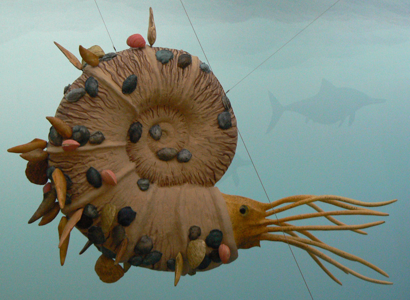 Ammonit (Lytoceras) Modell Naturkundemuseum Stuttgart