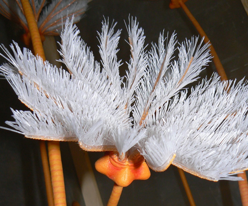 Seelilie Modell seitlich, Naturkundemuseum Stuttgart.