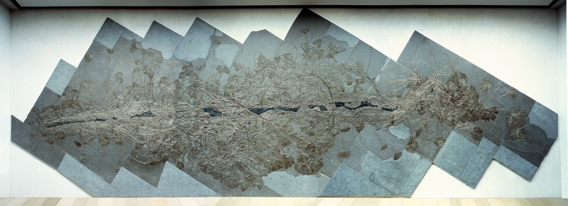 Die weltweit größte Seelilienkolonie, 18 x 6 Meter, Urweltmuseum Hauff Holzmaden.
