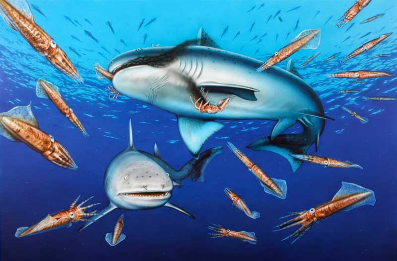 Haie fressen sich in einem Belemnitenschwarm satt.